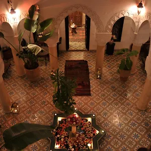 Adriana Marrakesh
